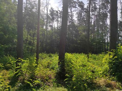 ділянка за адресою Котляревського