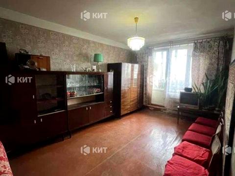 квартира по адресу Гвардейцев-Широнинцев ул., 22