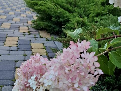 квартира за адресою вулиця Кахи Бендукідзе, 2