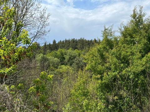 участок по адресу 