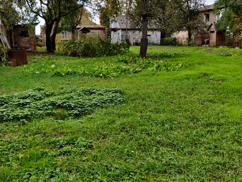 участок по адресу Івана Гонти, 4
