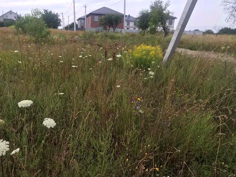 участок по адресу Надажинська, 36-г