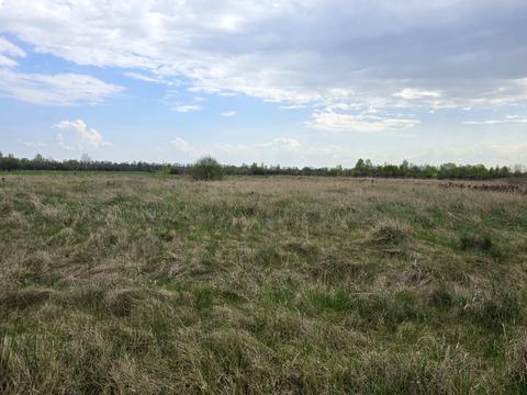 ділянка за адресою Вільська