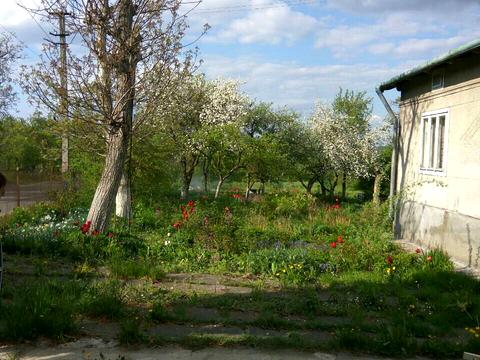 дом по адресу Центральна, 41