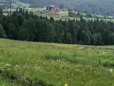 ділянка за адресою с. Сянки, 