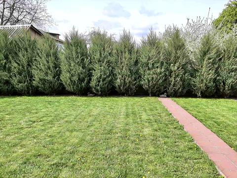 дом по адресу 1-го Мая просп., 239