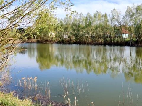 будинок за адресою с. Вільне, 7-а дачна