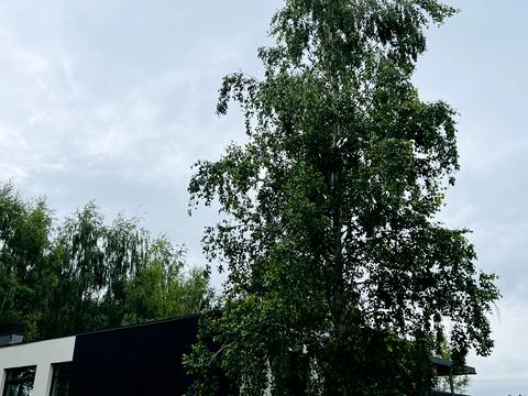 дом по адресу Владимирская ул.