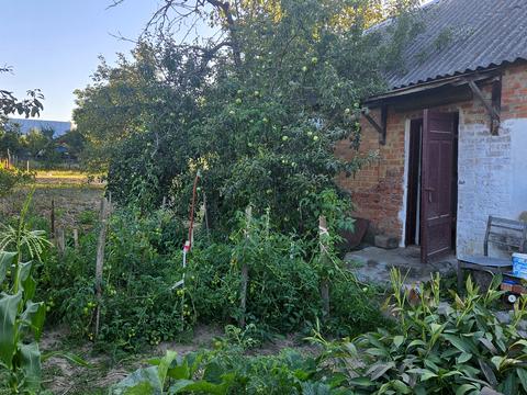 дом по адресу 1-й Королёва пер., 4