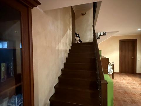 будинок за адресою Хутірська вул. (Жовтнева), 12