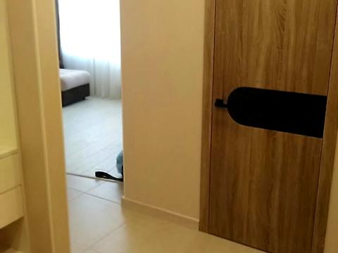 квартира за адресою Валерія Самофалова вул. (Каманіна), 16а/1