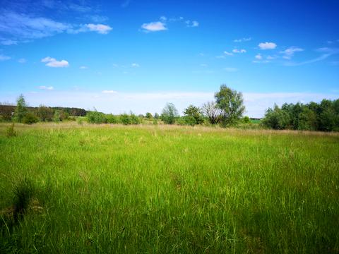 ділянка за адресою Луговая , 39