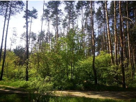 ділянка за адресою Річна вул., 5