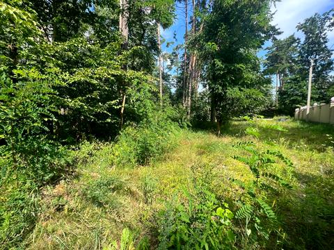 ділянка за адресою 