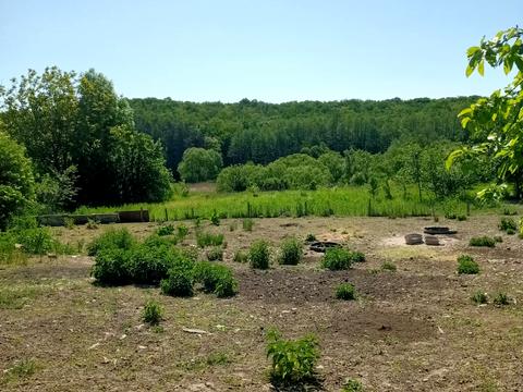 ділянка за адресою Леніна, 101