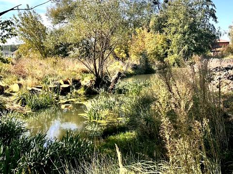 ділянка за адресою Лугова