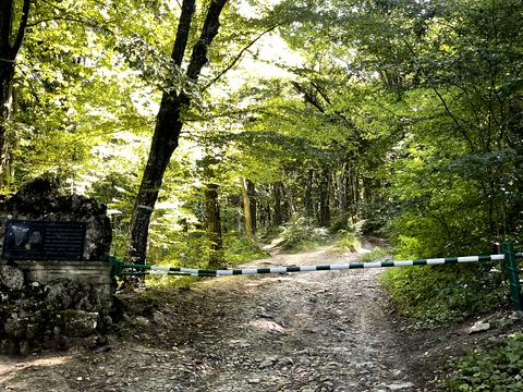 будинок за адресою Лісна, 12