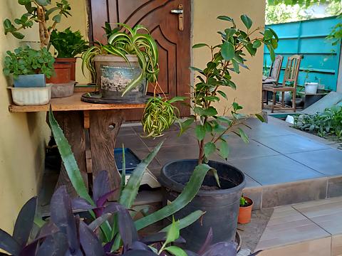 будинок за адресою Хвіля