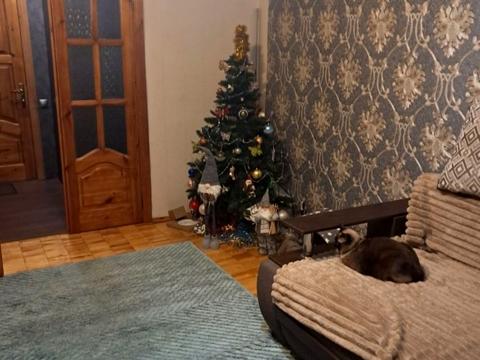 квартира за адресою Миколи Закревського вул., 55