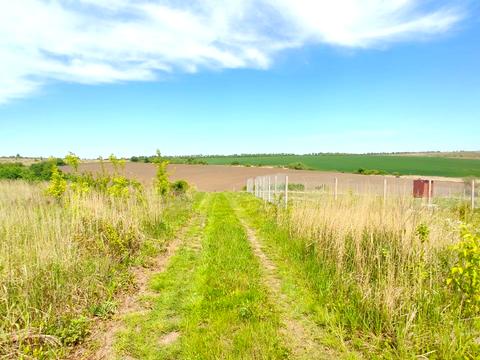ділянка за адресою Полігонна вул.