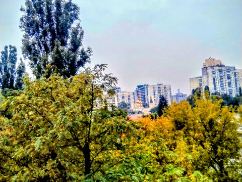 квартира по адресу Богдановская ул., 5-А