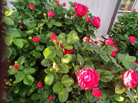 будинок за адресою Приозерна вул.