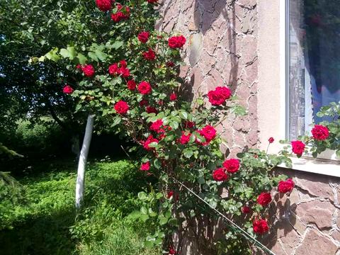 будинок за адресою Петра Сагайдачного вул., 29