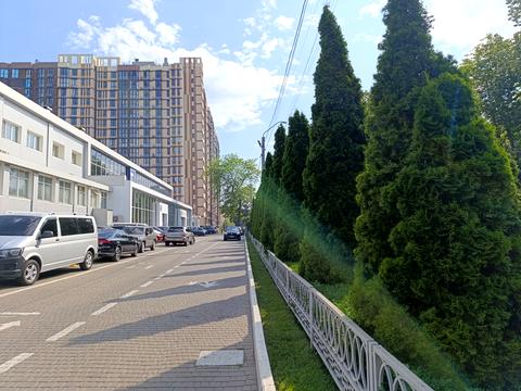 комерційна за адресою Комітетська вул., 40