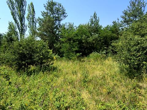 участок по адресу с. Рудковцы, 