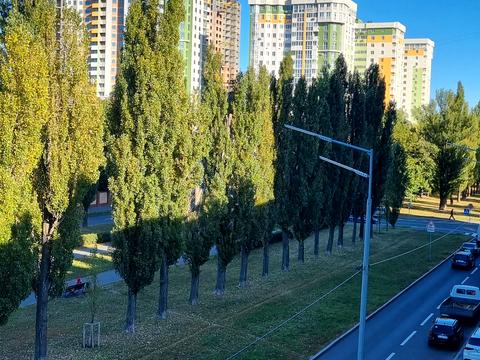 квартира по адресу Академика Вернадского бульв., 50