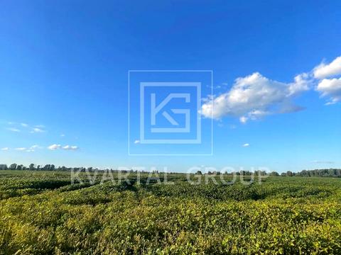 ділянка за адресою Польова