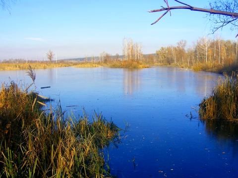 ділянка за адресою с. Пухівка, Рожівська