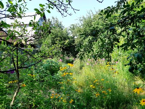 участок по адресу Евгения Патона ул., 8