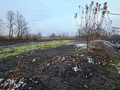 дом по адресу Полевая ул.