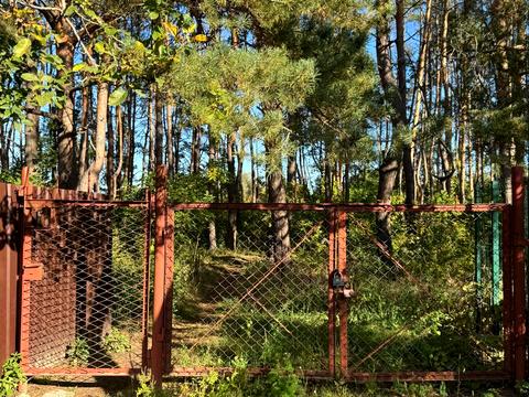 дом по адресу Лісова