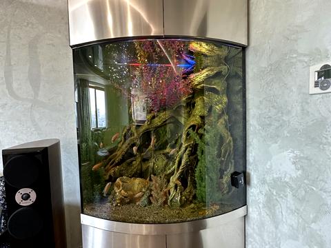 квартира по адресу Раисы Окипной ул., 10