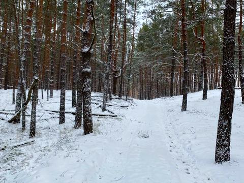 участок по адресу Шервудская ул.