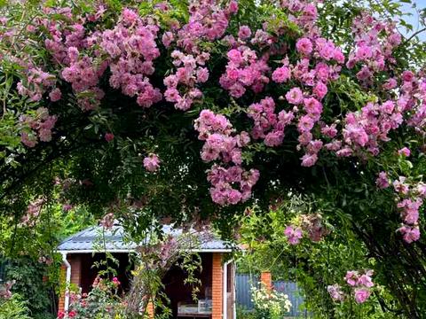 будинок за адресою провулок Хоменка