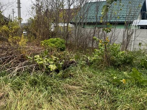 ділянка за адресою Зарічна вул.