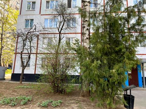 квартира за адресою Ахсарова вул., 7