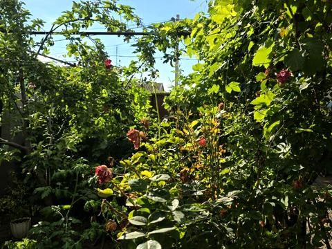 дом по адресу Хуторская ул., 42г