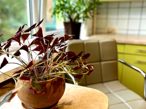 квартира за адресою Данила Щербаківського вул. (Щербакова), 68-А