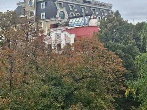 квартира за адресою Володимирська вул., 7