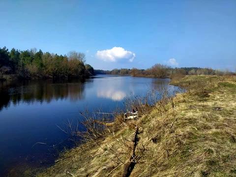 будинок за адресою с. Сушки, Диброва