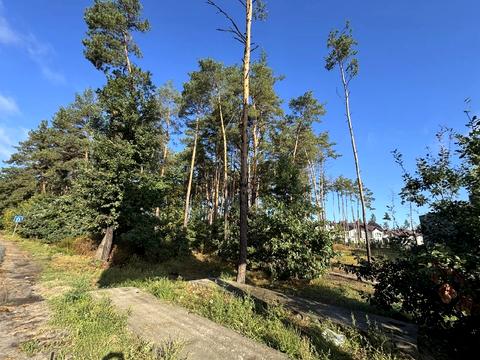 участок по адресу Гостомельське шосе