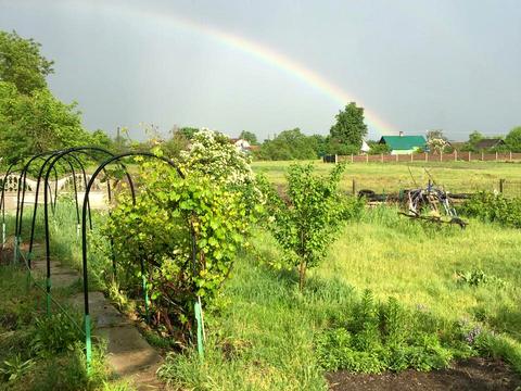 будинок за адресою с. Полянь, Незалежності