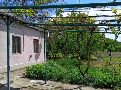 дом по адресу Мира, 2