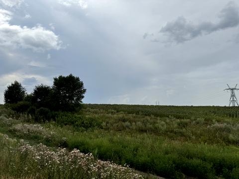 ділянка за адресою 