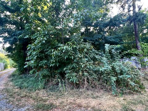 ділянка за адресою 