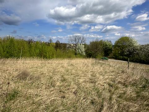 участок по адресу Подгорная ул., 5